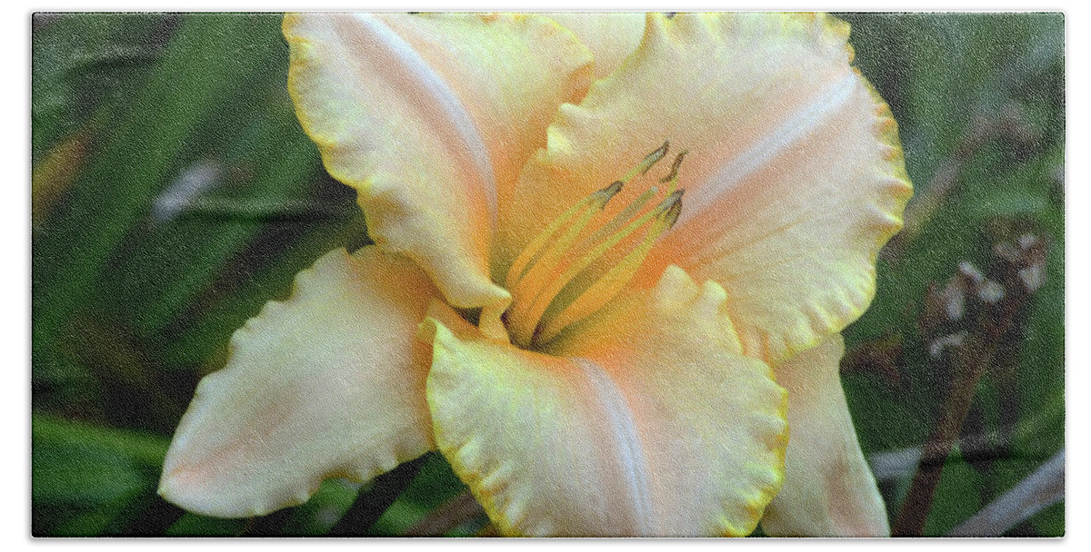 Daylily Bath Towel featuring the photograph Desirable Daylily. by Terence Davis