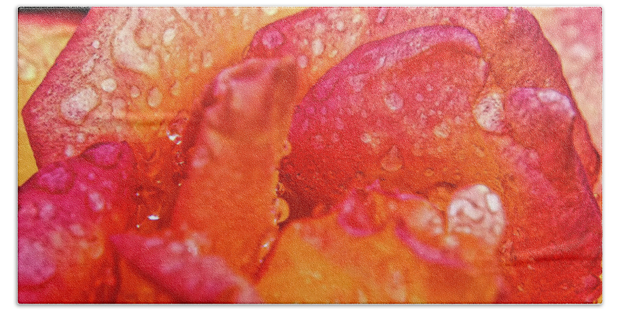 Dew Hand Towel featuring the photograph Dew on the Rose by Scott Olsen