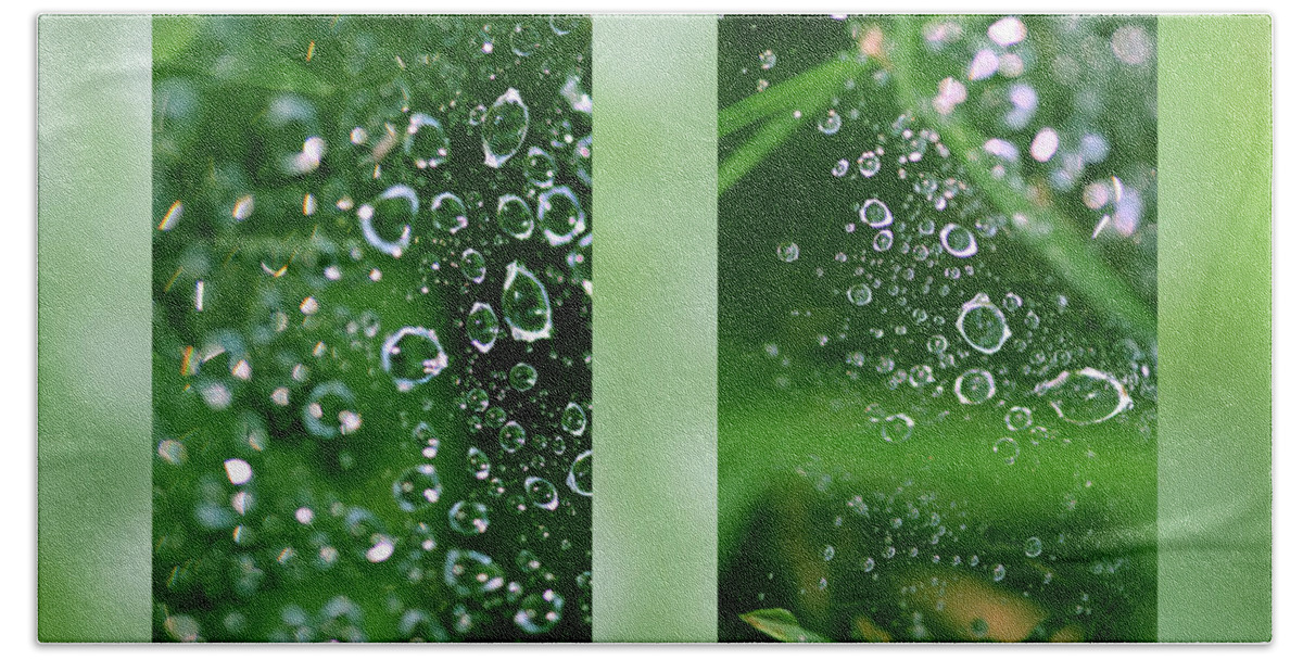 Dew Bath Towel featuring the photograph Dew On Web by Karen Rispin