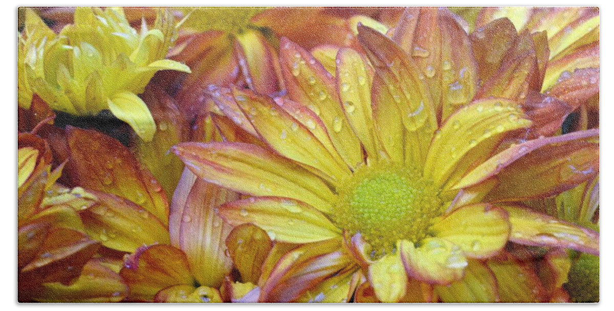 Daisy Bath Towel featuring the photograph Dewy Pink and Yellow Daisies 2 by Amy Fose