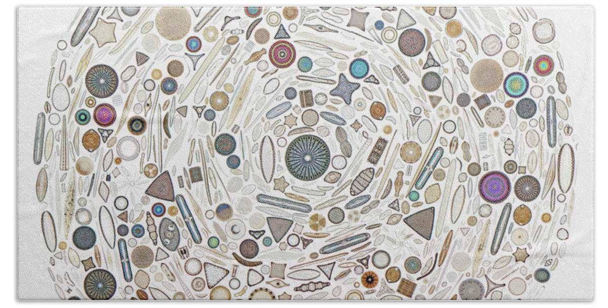 Diatoms Bath Towel featuring the photograph Diatom arrangement by Klaus Kemp 1994 by MI Walker