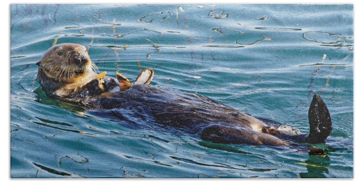 Kj Swan Aquatic Animals Bath Towel featuring the photograph Dining Al Fresco - Sea Otter by KJ Swan
