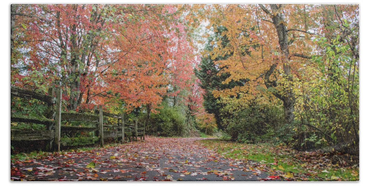 Autumn Bath Towel featuring the photograph Discovery Trail in Autumn Colour by Joan Septembre
