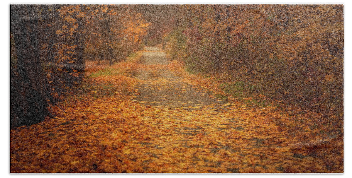 D&l Hand Towel featuring the photograph DL Trail River Side Road Fall Foliage by Jason Fink