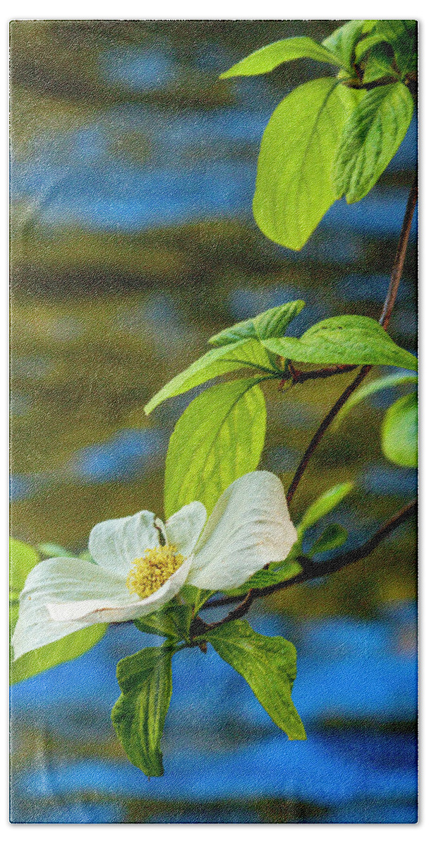 Yosemite Bath Towel featuring the photograph Dogwood on the Merced by Bill Gallagher