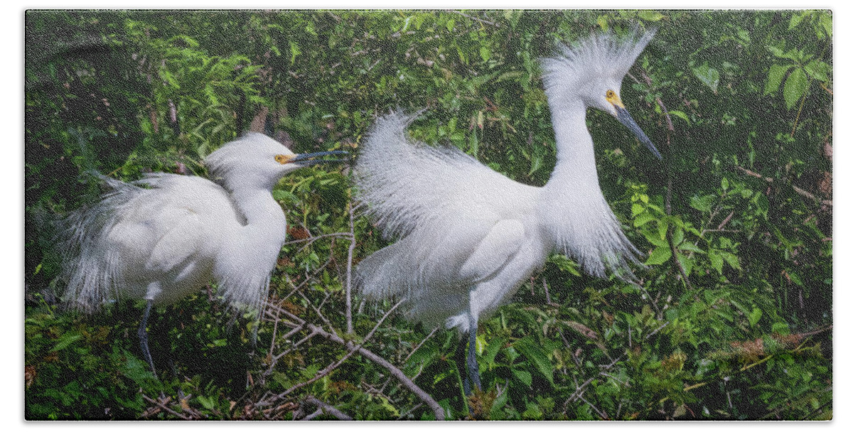 Egret Bath Towel featuring the photograph Doo for Two by John Kirkland