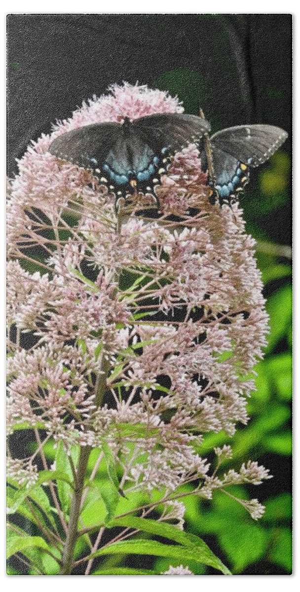 Double Butterfly Beauties Hand Towel featuring the photograph Double Butterfly Beauties by Kathy Chism