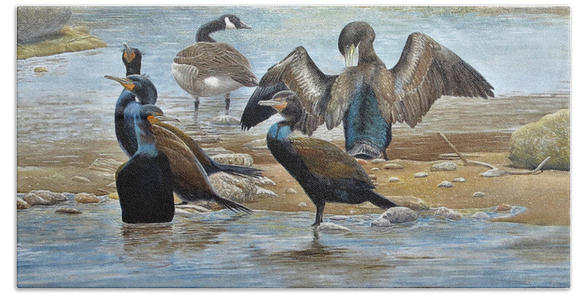 Double-crested Cormorant Bath Towel featuring the painting Double-crested Cormorants with Canada Goose by Barry Kent MacKay
