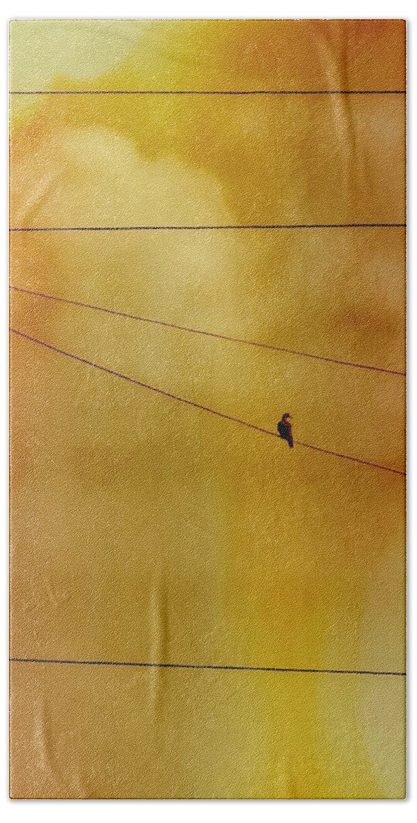 Perching Hand Towel featuring the photograph Dove on a Wire - Gold by Judy Kennedy