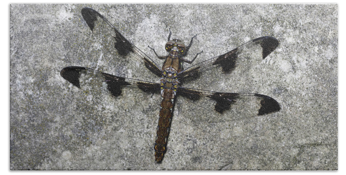 Dragonfly Bath Towel featuring the photograph Dragon Fly with human face by Stoneworks Imagery
