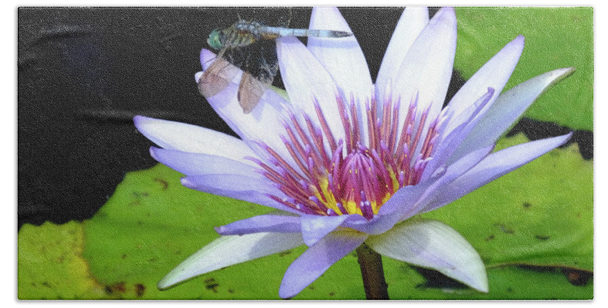 Dragonfly Hand Towel featuring the photograph Dragon with Lily by Bill Barber