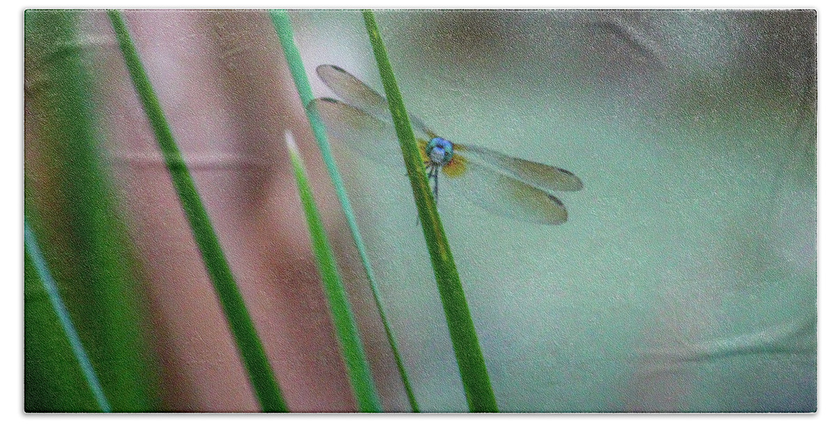 Dragonfly Bath Towel featuring the photograph Dragonfly 2 by Cindy Robinson
