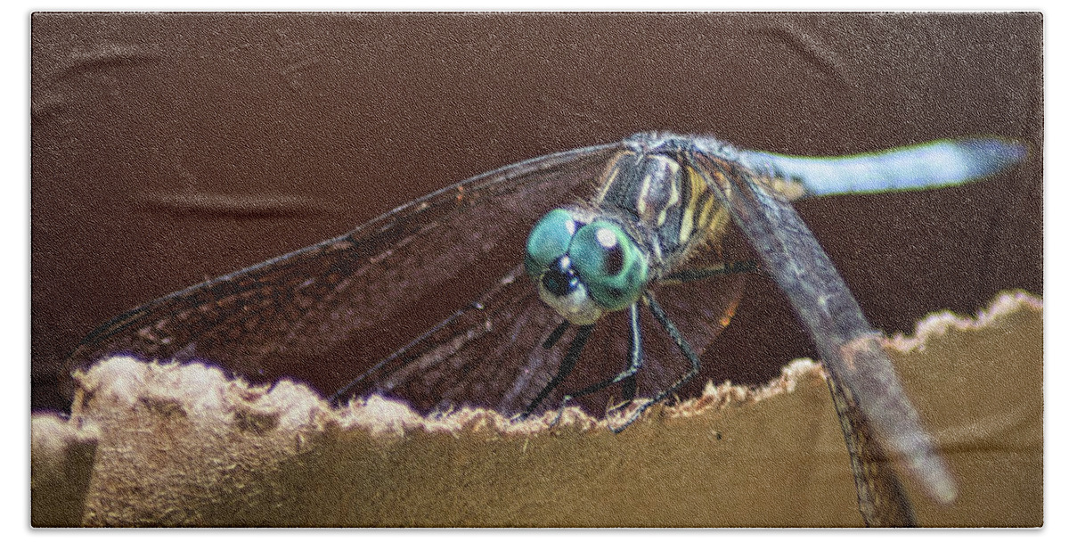 Insect Bath Towel featuring the photograph Dragonfly Eyes by Portia Olaughlin