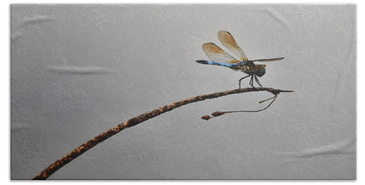 Photo Hand Towel featuring the photograph Dragonfly Over Lake by Evan Foster