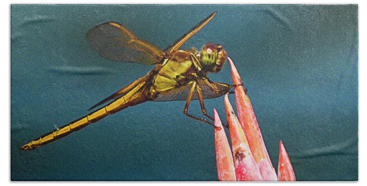 Dragonfly Hand Towel featuring the photograph Dragonfly Resting by Bill Barber