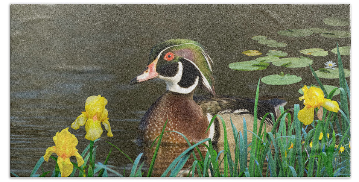Duck Bath Towel featuring the digital art Drake Wood Duck and Iris by M Spadecaller