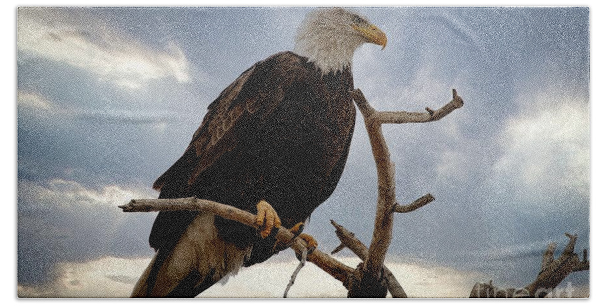 Eagle Bath Towel featuring the photograph Dramatic by Veronica Batterson
