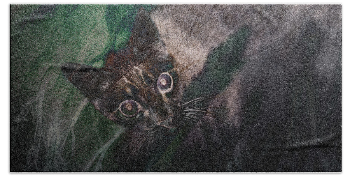 Photography Hand Towel featuring the photograph Dreams of the Wild by Craig Boehman