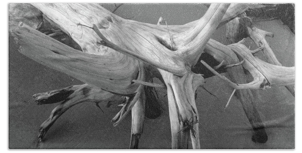 Beach Hand Towel featuring the photograph Driftwood 2, Big Talbot Island by John Simmons