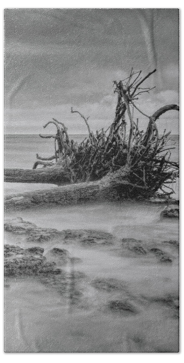 Black Bath Towel featuring the photograph Driftwood Beach in Black and White by Carolyn Hutchins