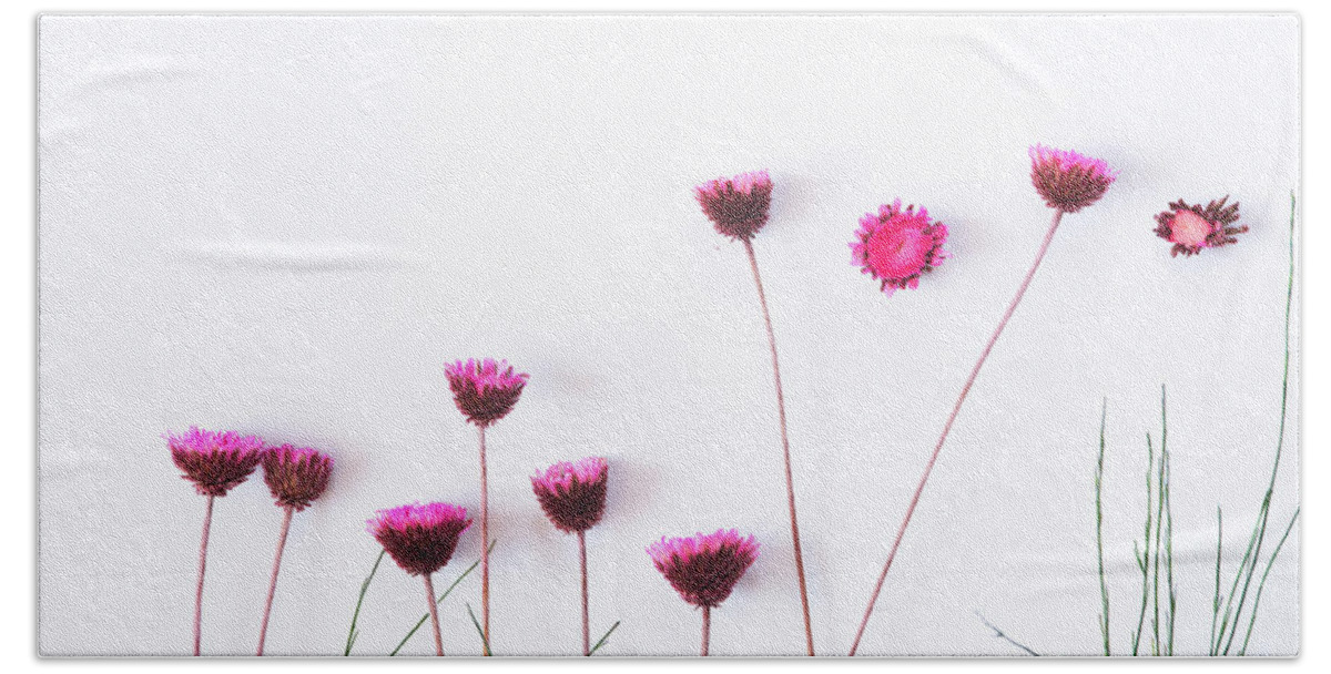 Dry Flowers Bath Towel featuring the photograph Dry purple floral bouquet on white background. by Michalakis Ppalis