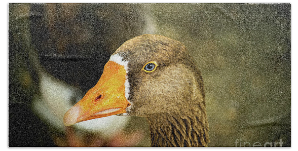 Duck Hand Towel featuring the photograph Duck face by Mendelex Photography