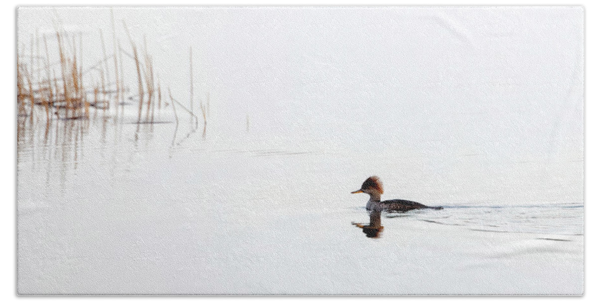 Merganser Bath Towel featuring the photograph Duck in the Lake by Al Mueller