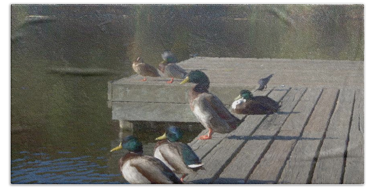 Ducks Hand Towel featuring the photograph Ducks on the Dock by Alison Frank