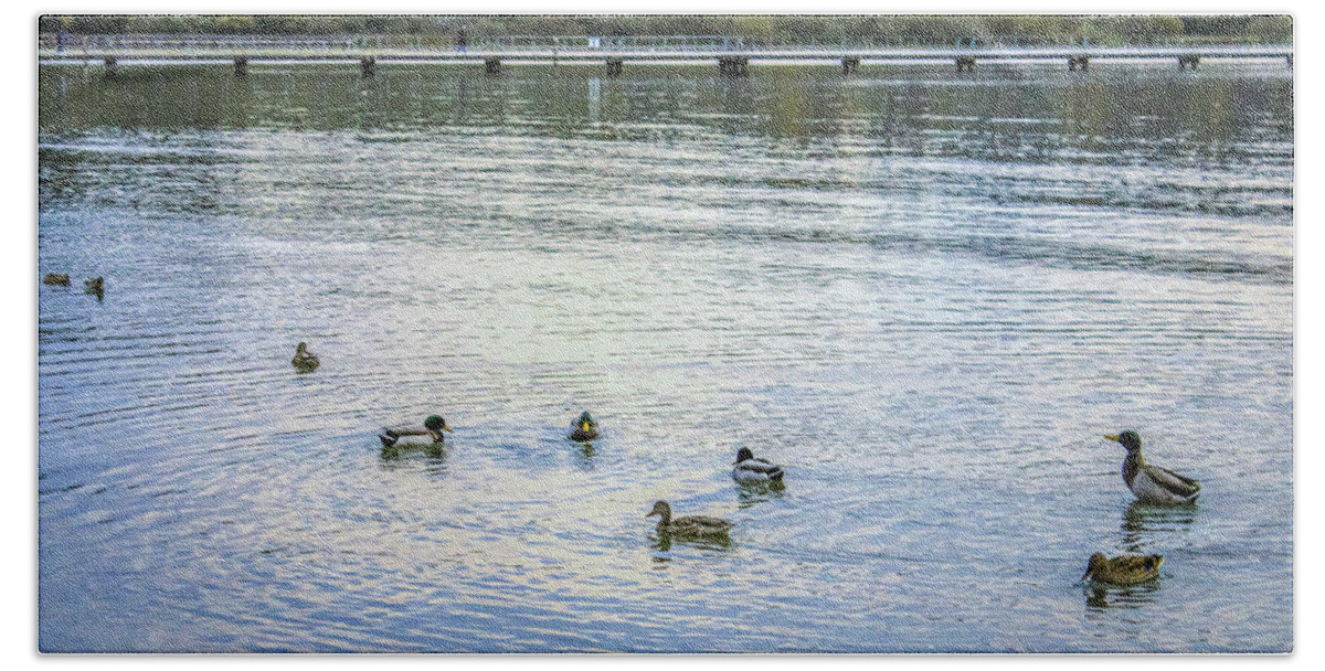 Animals Bath Towel featuring the photograph Ducks on the lake by Anamar Pictures