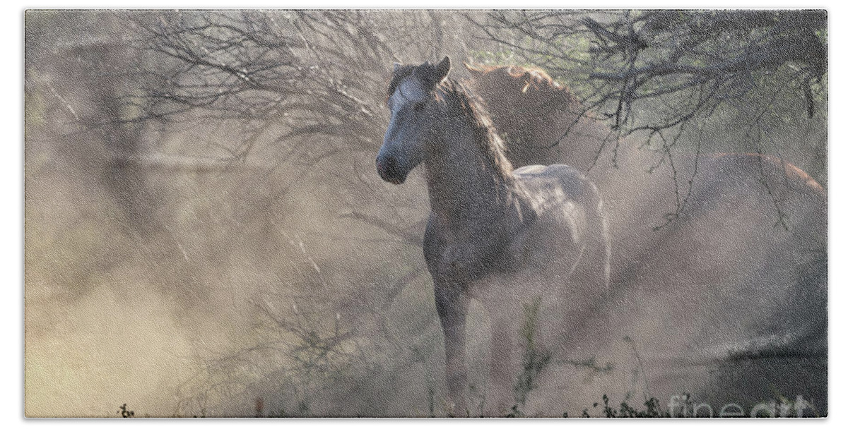 Stallion Hand Towel featuring the photograph Dust Rays by Shannon Hastings