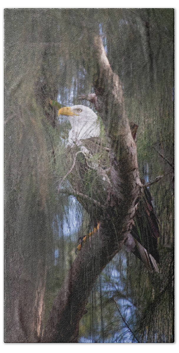 Eagle Bath Towel featuring the photograph Eagle in the Mist by Mark Andrew Thomas
