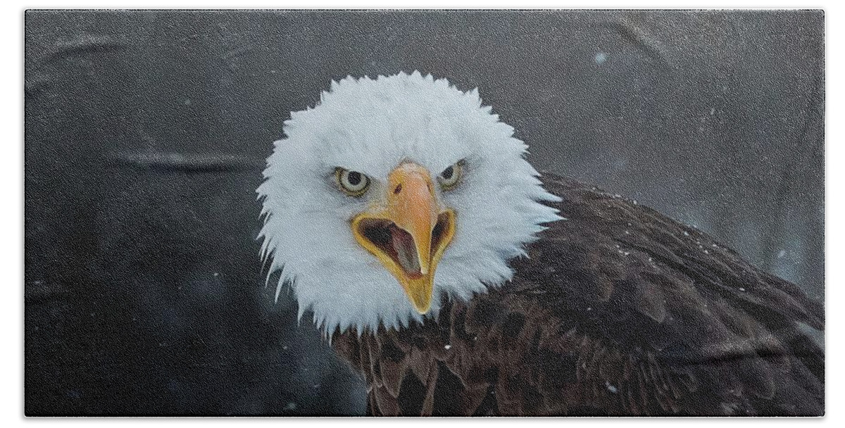 Eagle Hand Towel featuring the photograph Eagle Stare by CR Courson