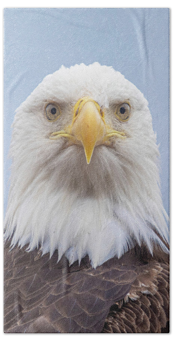 Eagle Bath Towel featuring the photograph Eagle Stare by Michael Rauwolf