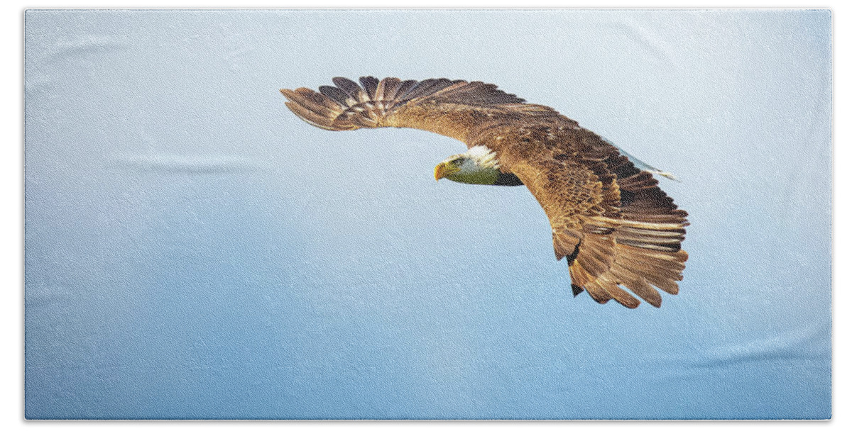 Bird Bath Towel featuring the photograph Eagle Wings by Doug McPherson
