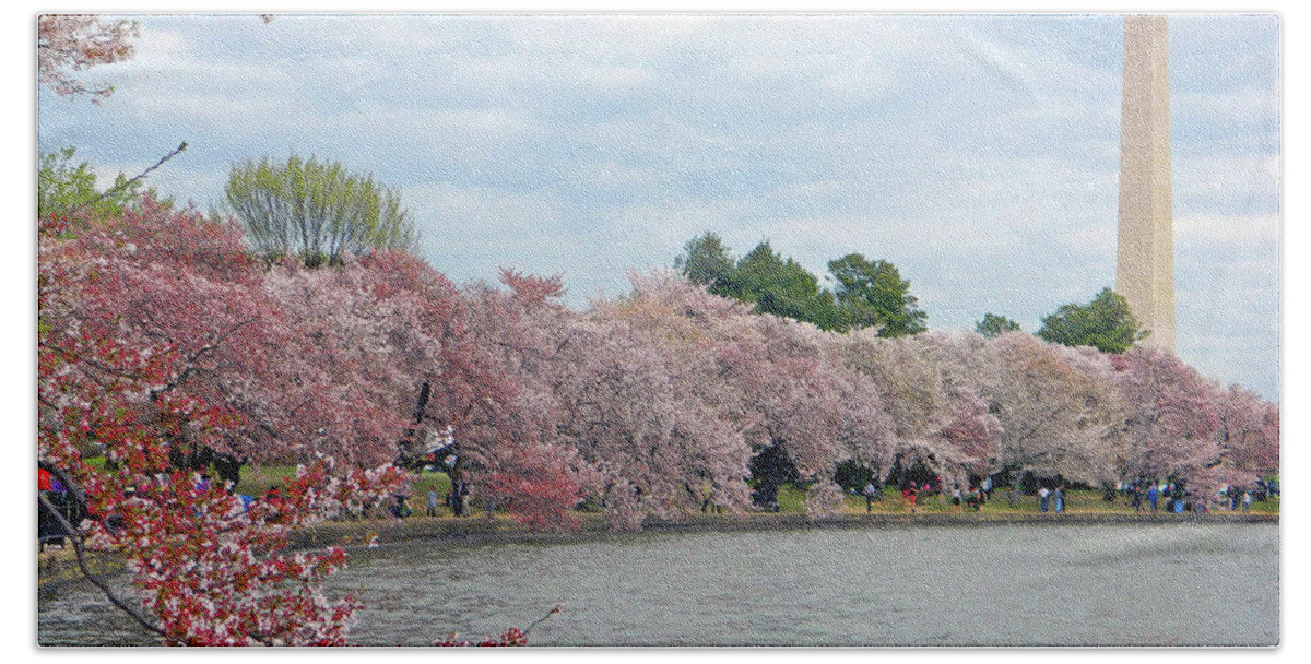Tidal Basin Hand Towel featuring the photograph Early Arrival Of The Japanese Cherry Blossoms 2016 by Emmy Marie Vickers