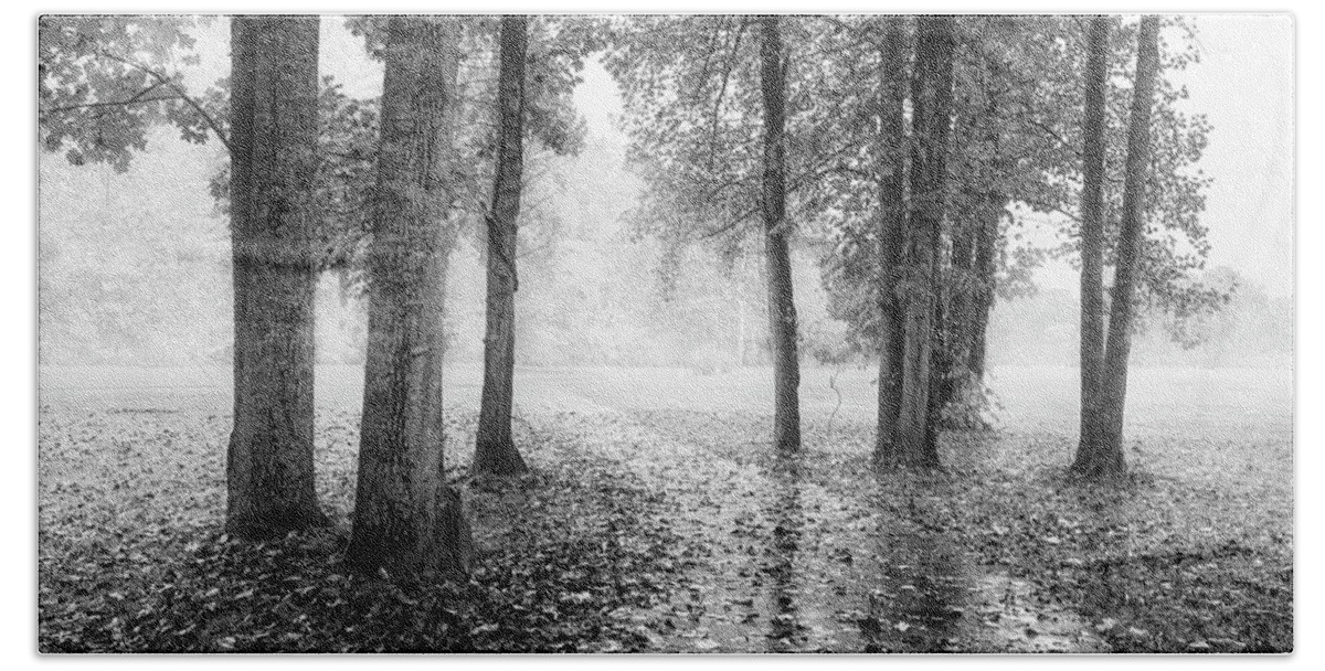 Carolina Bath Towel featuring the photograph Early Morning Walk Black and White by Debra and Dave Vanderlaan