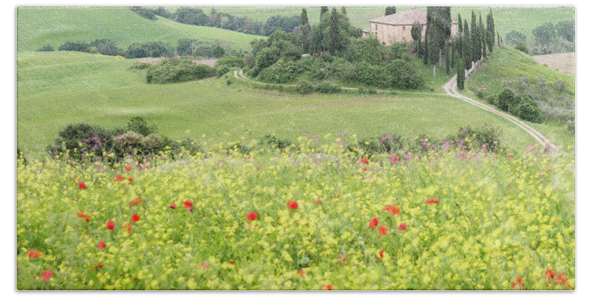 Italy Hand Towel featuring the photograph Early Summer in the Val D'Orcia, Tuscany, Italy by Sarah Howard