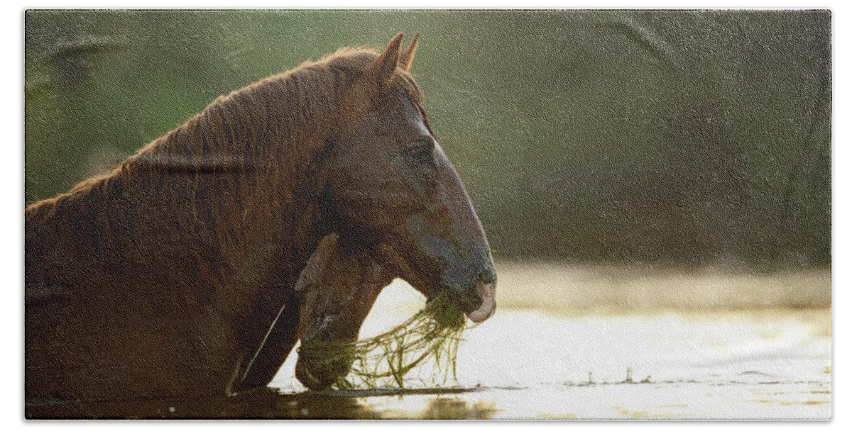 Salt River Wild Horses Bath Towel featuring the photograph Eelgrass Thief by Shannon Hastings