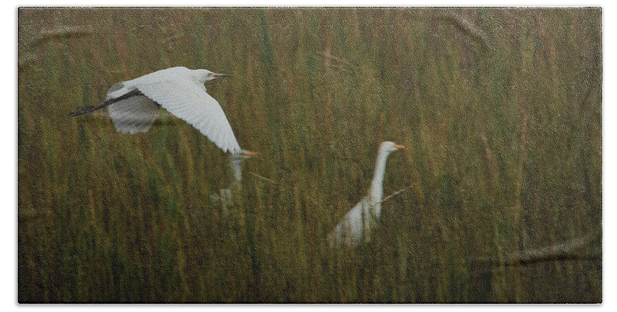 Georgia Bath Towel featuring the photograph Egrets Fish in the Marshes of Glynn by John Simmons