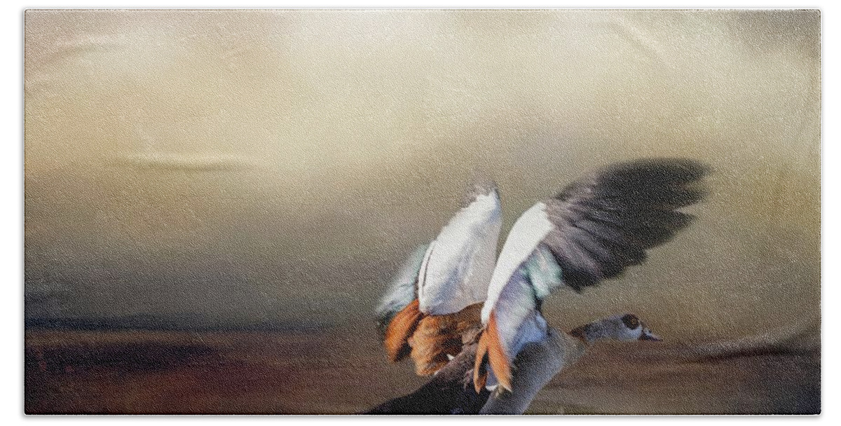 Egyptian Goose Hand Towel featuring the photograph Egyptian Goose Landing by Eva Lechner