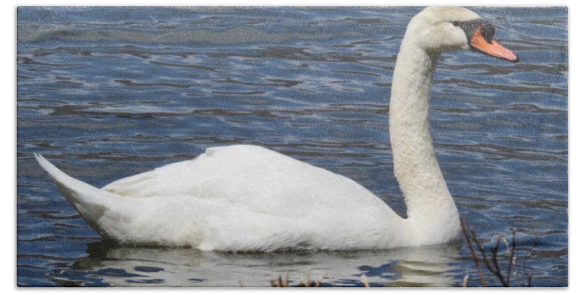 Elegant Swan Bath Towel featuring the photograph Elegant Swan by Kathy Chism