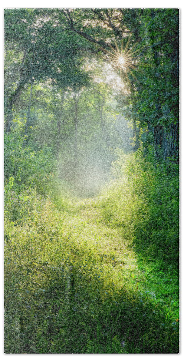 Path Bath Towel featuring the photograph Enchanting by Brad Bellisle