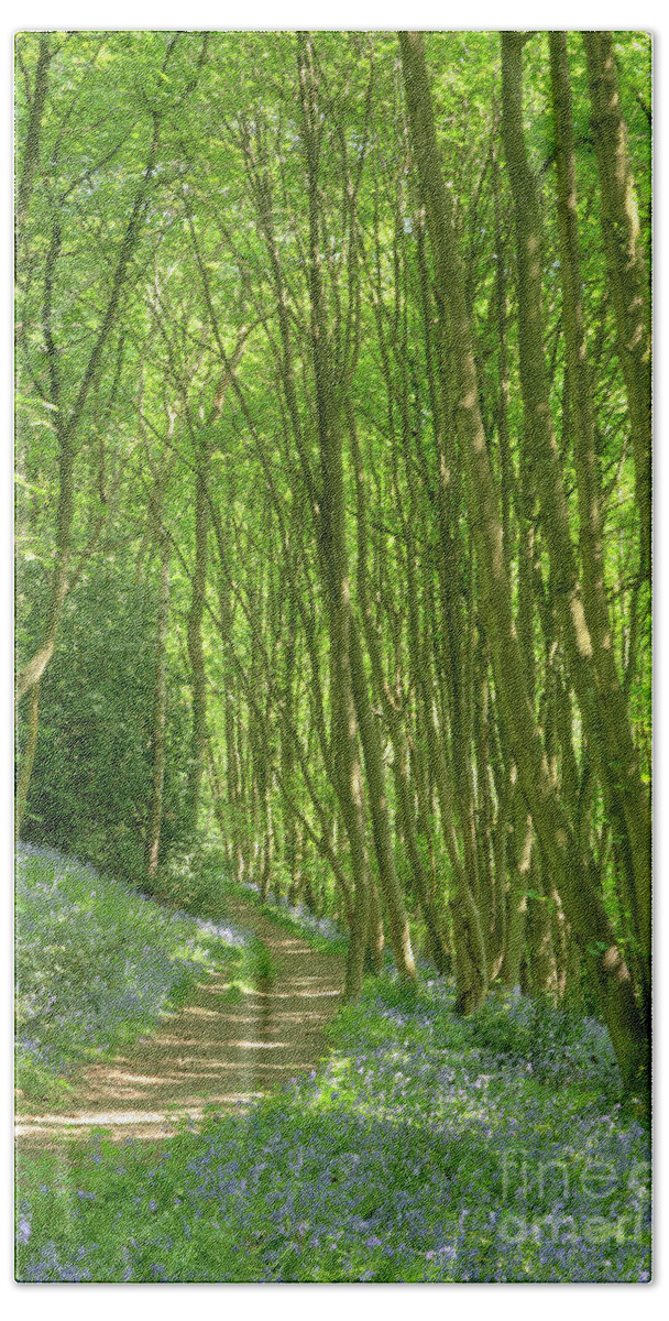 Bluebells Bath Towel featuring the photograph English Bluebell Wood by David Birchall