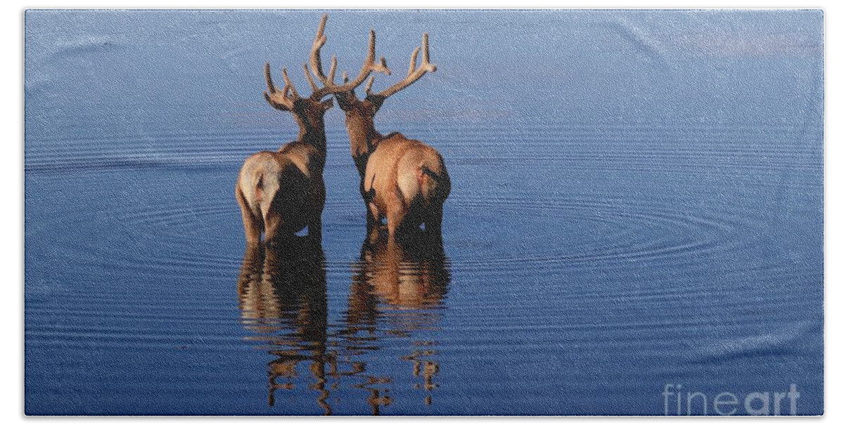 Antler Bath Towel featuring the photograph Entwined Antlers by Yvonne M Smith