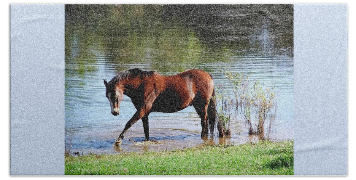 Equine Beauty Bath Towel featuring the photograph Equine Beauty by Kathy Chism