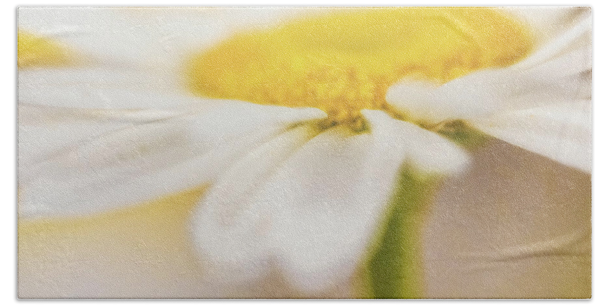 Flower Bath Towel featuring the photograph Essence of a Daisy by Laura Roberts