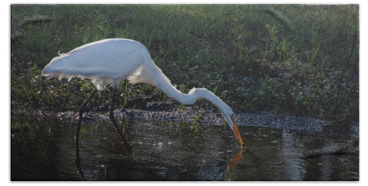Egret Bath Towel featuring the photograph Evening Visitor by M Kathleen Warren