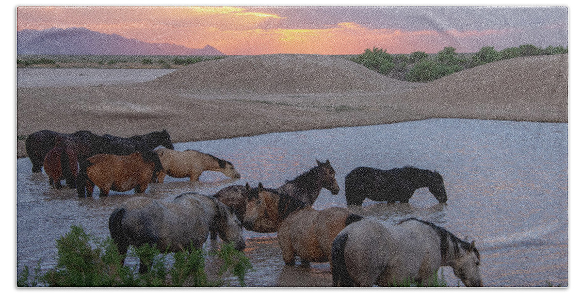 Horses Bath Towel featuring the photograph Face Mask Purple Water by Dirk Johnson