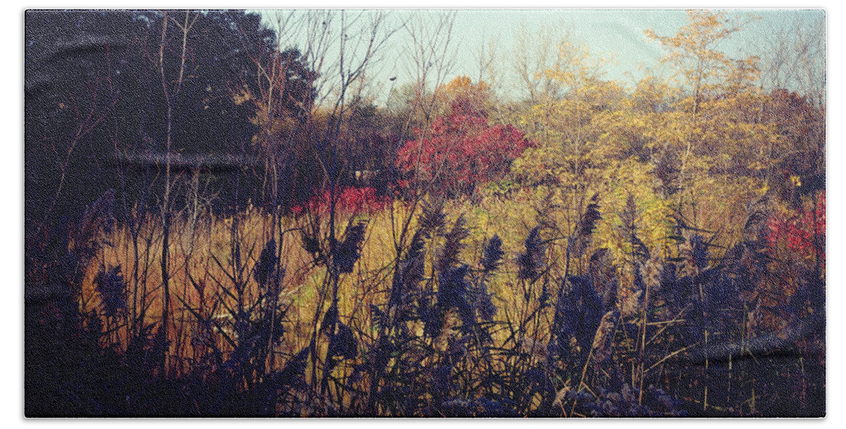 Nature Bath Towel featuring the photograph Fall Colors In The Prairie by Frank J Casella