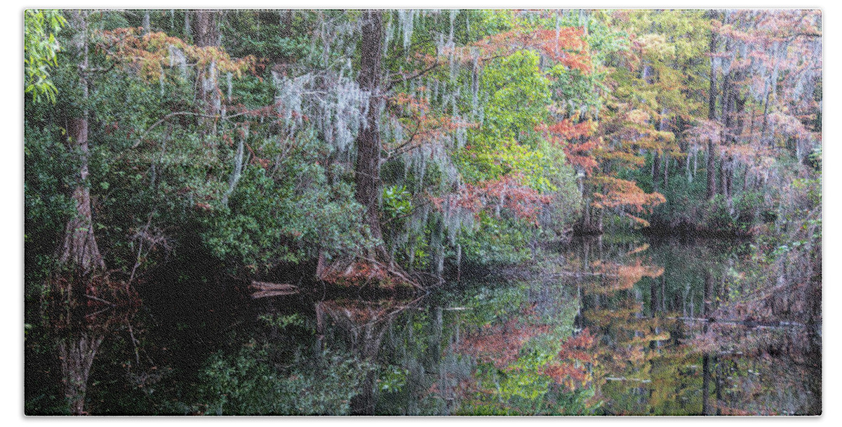 Fall Bath Towel featuring the photograph Fall Colors in the Swamp by WAZgriffin Digital